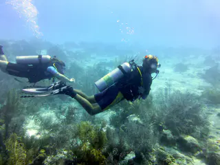 Underwater photograph by Joel Bergsma