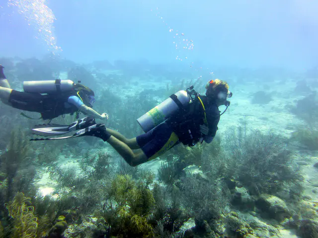 Underwater photograph by Joel Bergsma