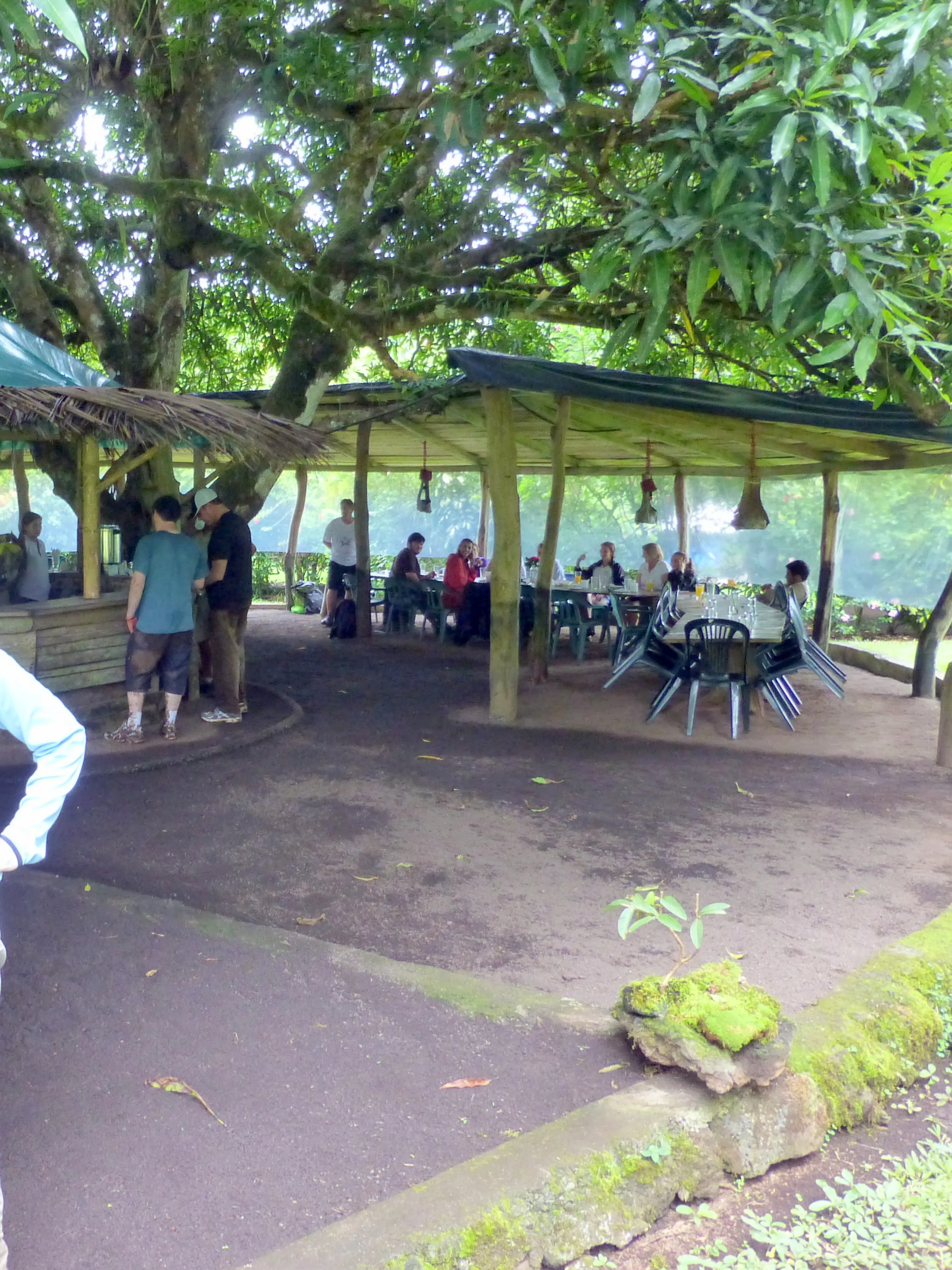 Lunch time at Camp Duro, an eco lodge and tortoise reserve on the road back from the volcano Sierra Negra.