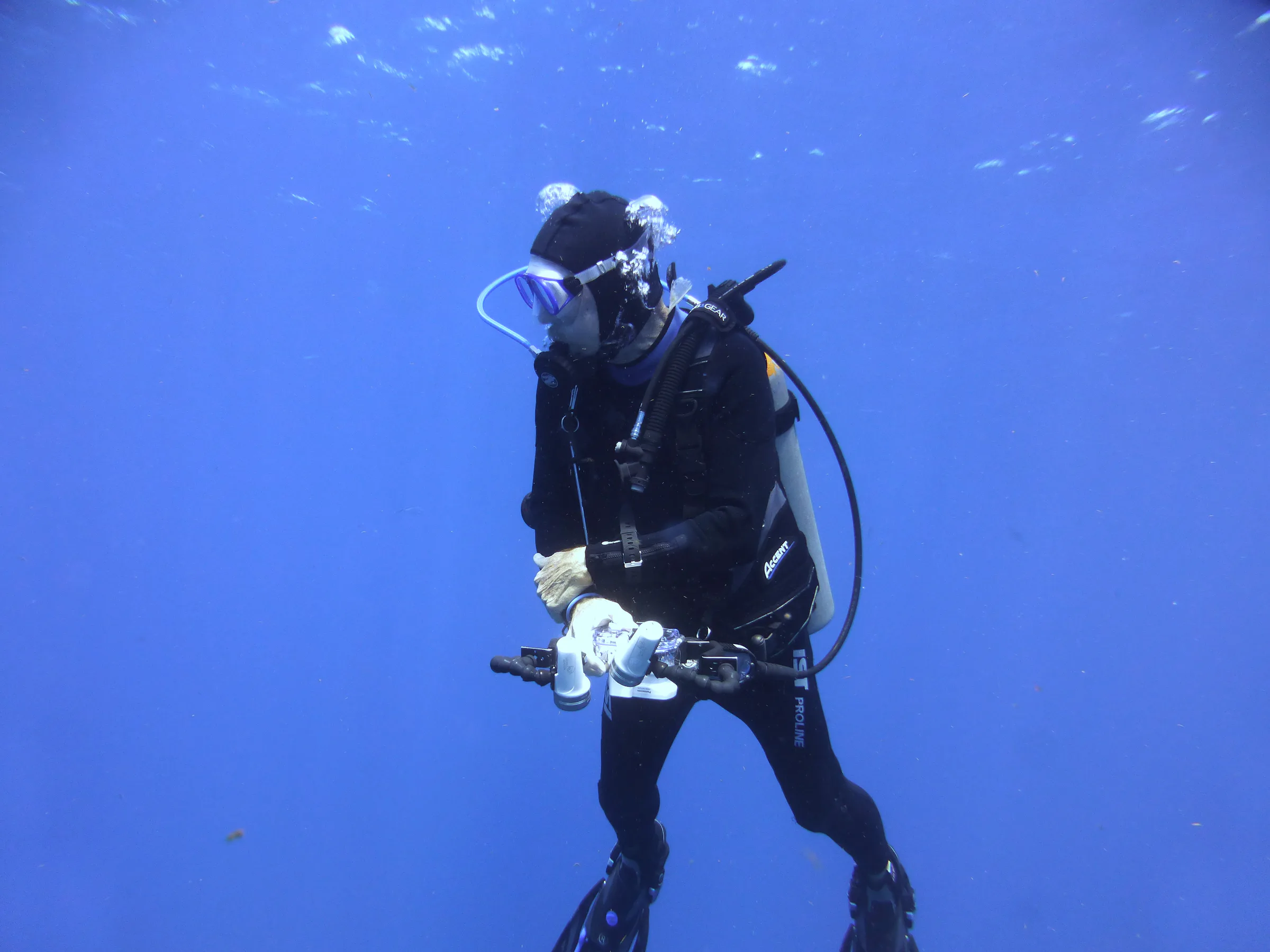 Belize underwater photograph, 2017
