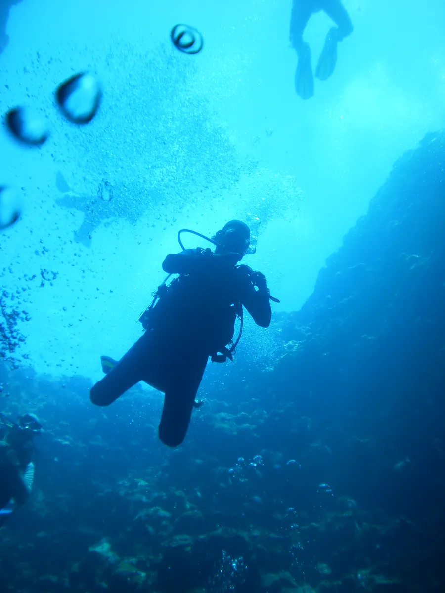 Looking up toward the opening of the blue hole as we descend toward the cavern below.