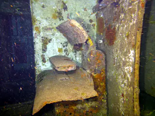 Underwater photograph by Joel Bergsma