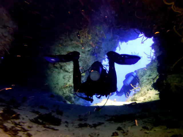 Underwater photograph by Joel Bergsma