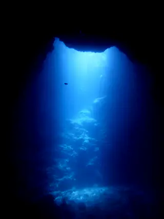Underwater photograph by Joel Bergsma