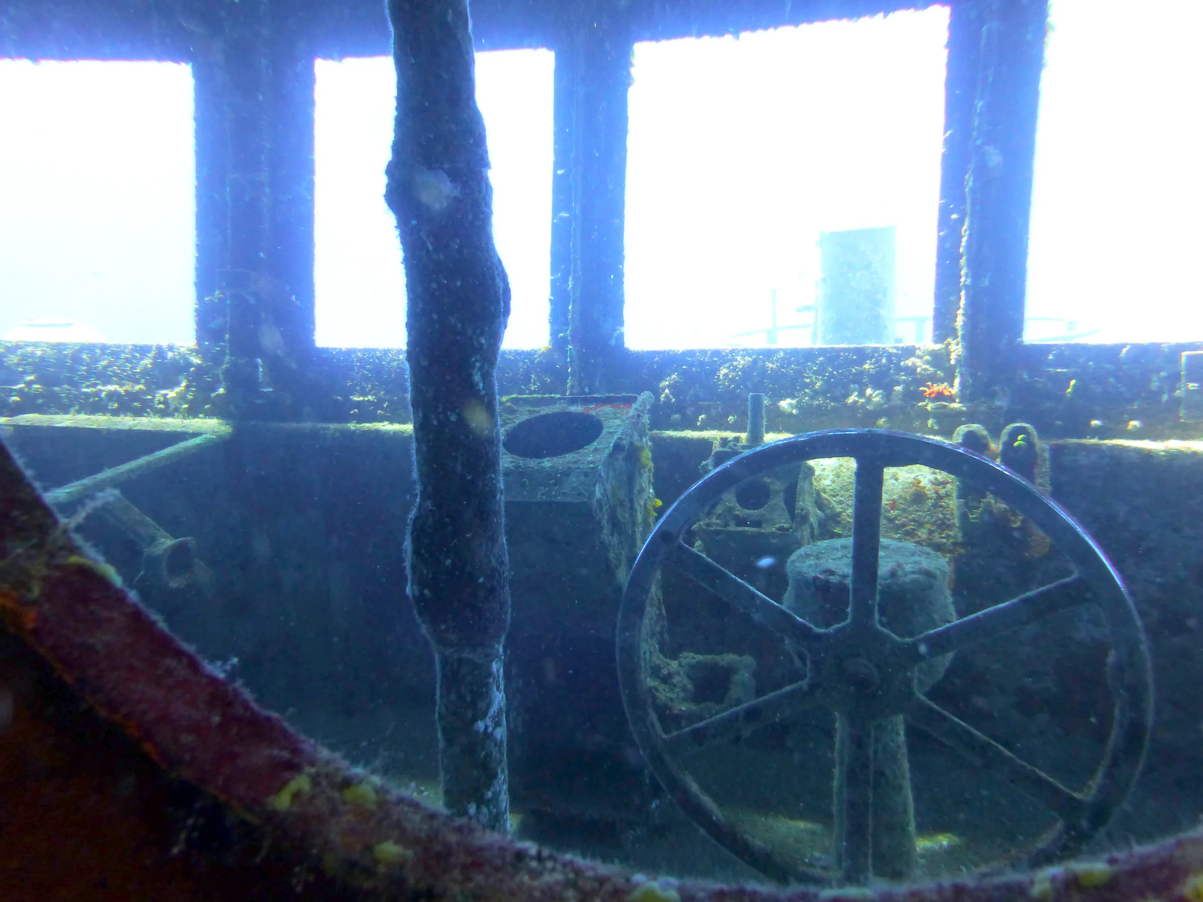 Cayman Islands underwater photograph, 2014