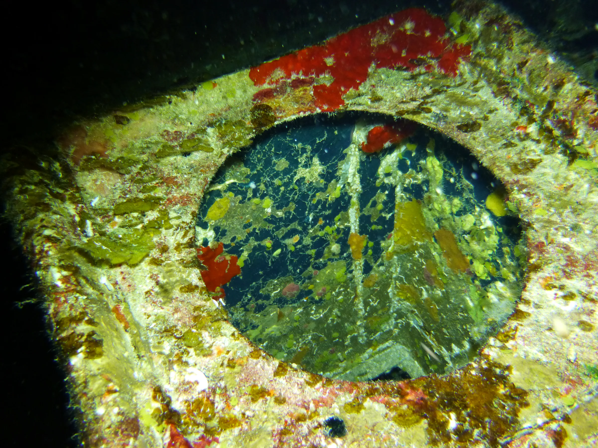 Cayman Islands underwater photograph, 2014