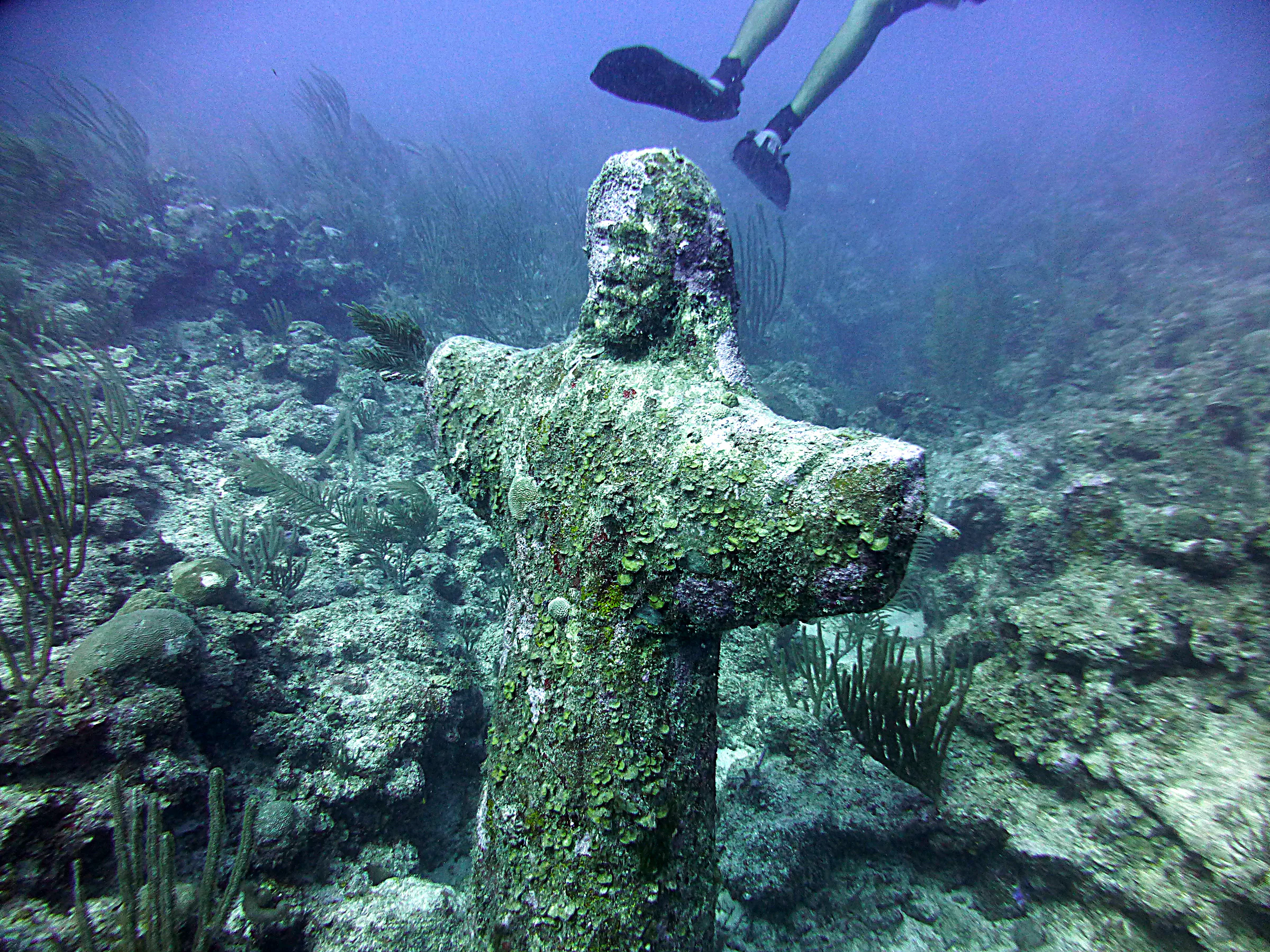 Belize underwater photograph, 2017