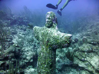 Underwater photograph by Joel Bergsma