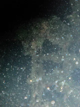 Ladder amid the wreckage.  The debris in the water caused my camera's flash to backscatter.