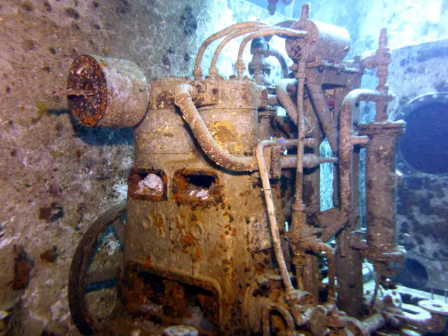 Underwater photograph by Joel Bergsma