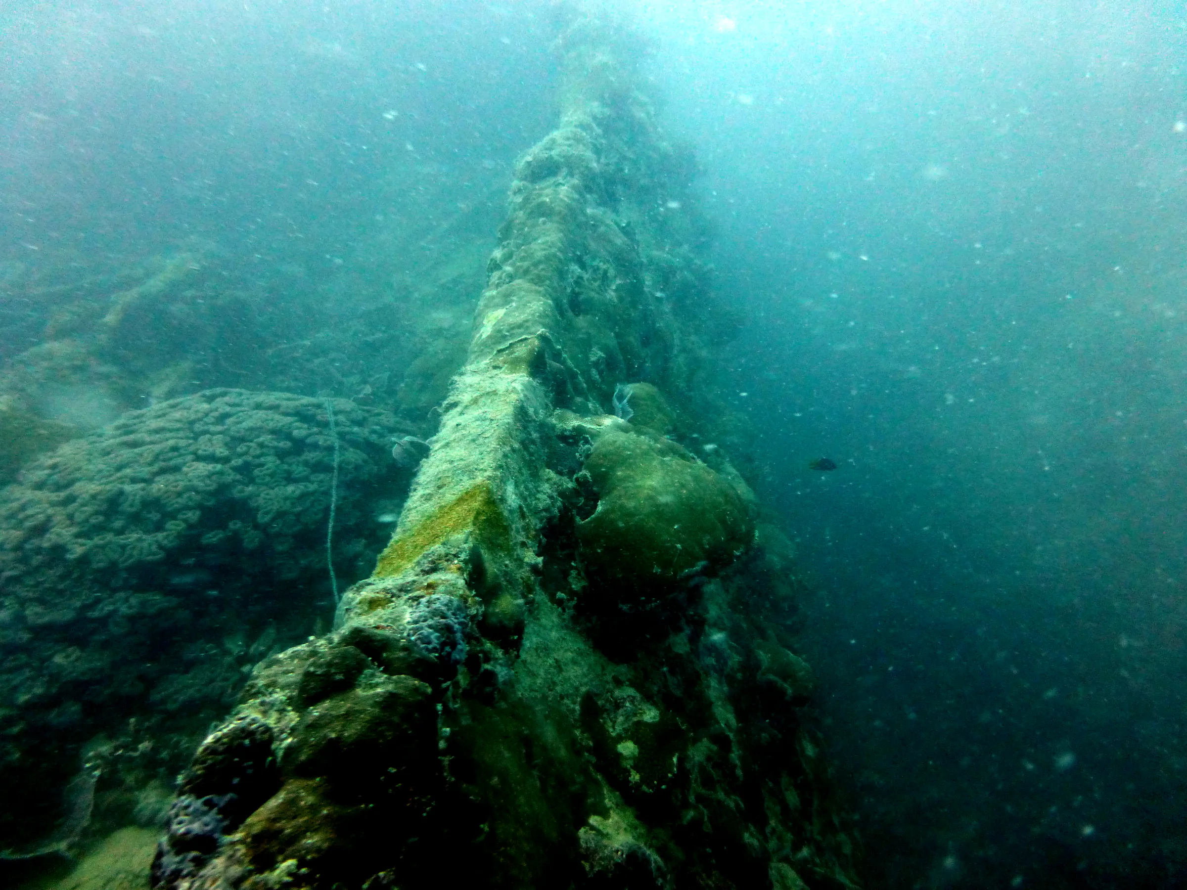 Palau underwater photograph, 2013