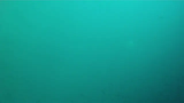 Video - Turtle & Distant Hammerhead Sharks.  Baitball. Kicker Rock. Galapagos.   I took this video with my Intova Sport Pro HD, a camera similar to the Go Pro.