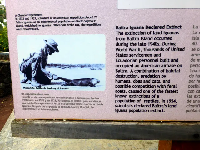 Story of the near extinction of the Baltra land Iguana