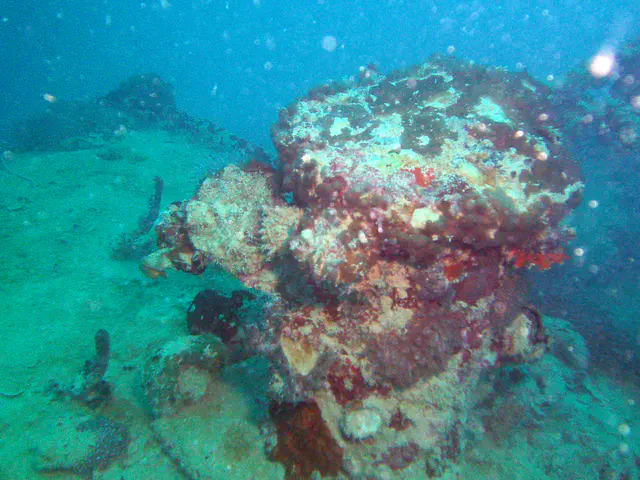 Structure on the main deck of the WWII Wreck Nagisan Maru, looking toward the ship's bow.