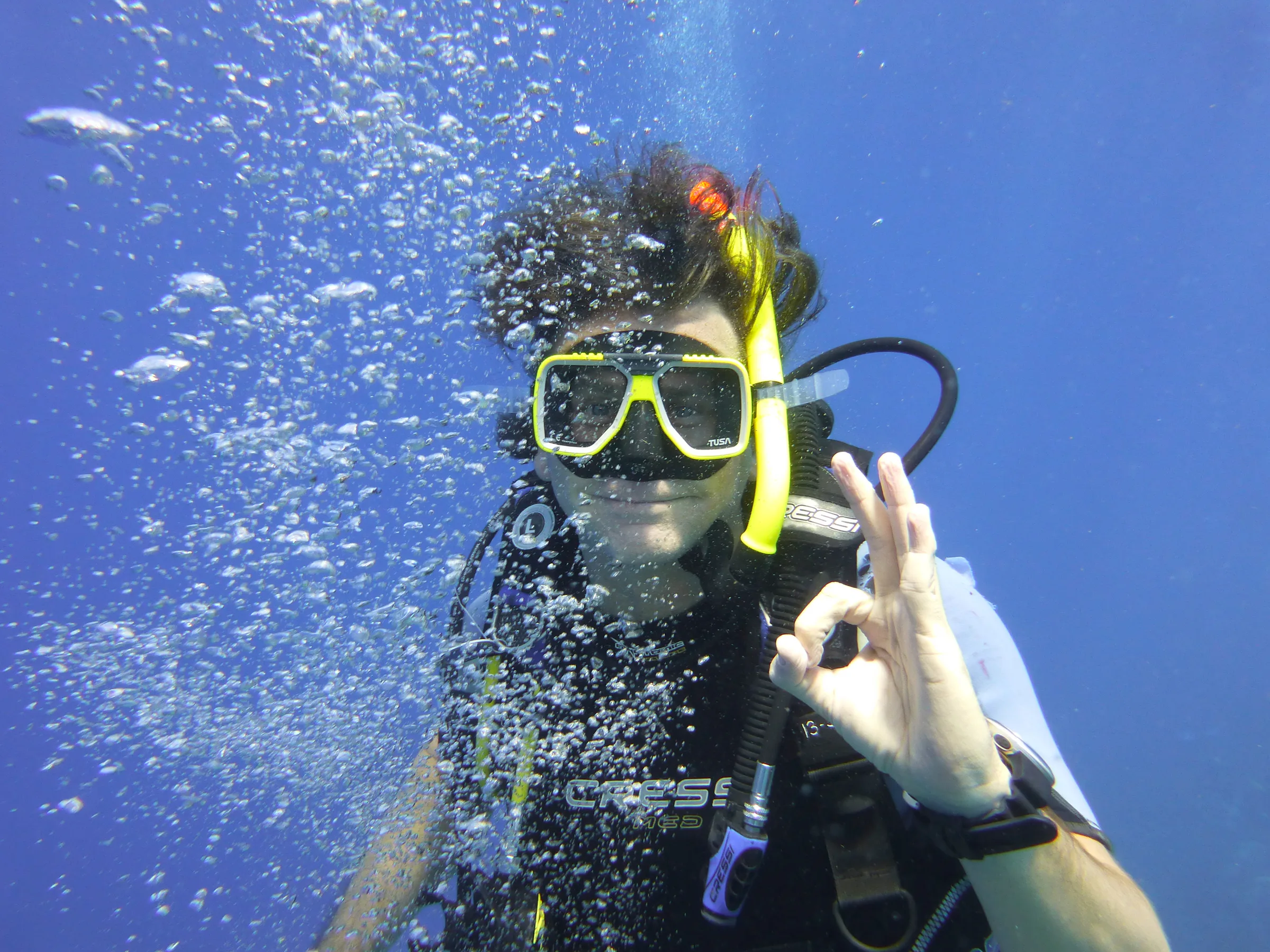 Bonaire underwater photograph, 2013