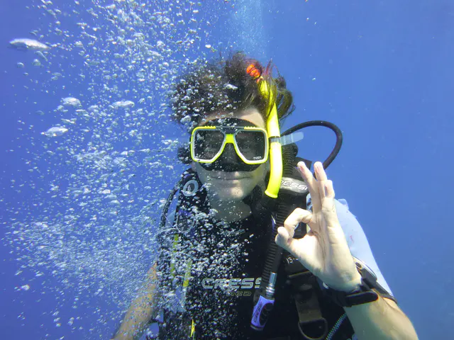 Underwater photograph by Joel Bergsma