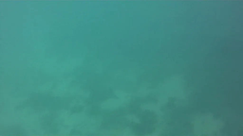 Video - Spotted Eagle Ray at Los Tintoreras, Galapagos.   I shot this video while snorkeling with my Intova Sport Pro HD, a camera similar to the Go Pro.