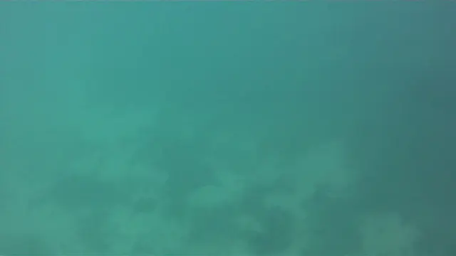 Video - Spotted Eagle Ray at Los Tintoreras, Galapagos.   I shot this video while snorkeling with my Intova Sport Pro HD, a camera similar to the Go Pro.