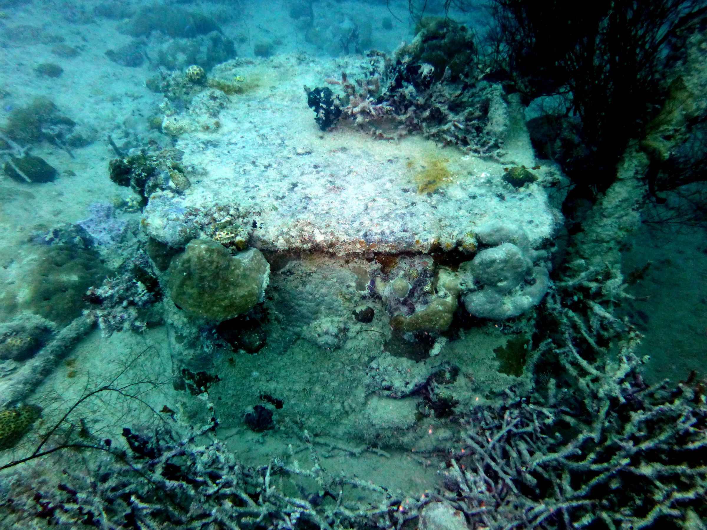 Palau underwater photograph, 2013
