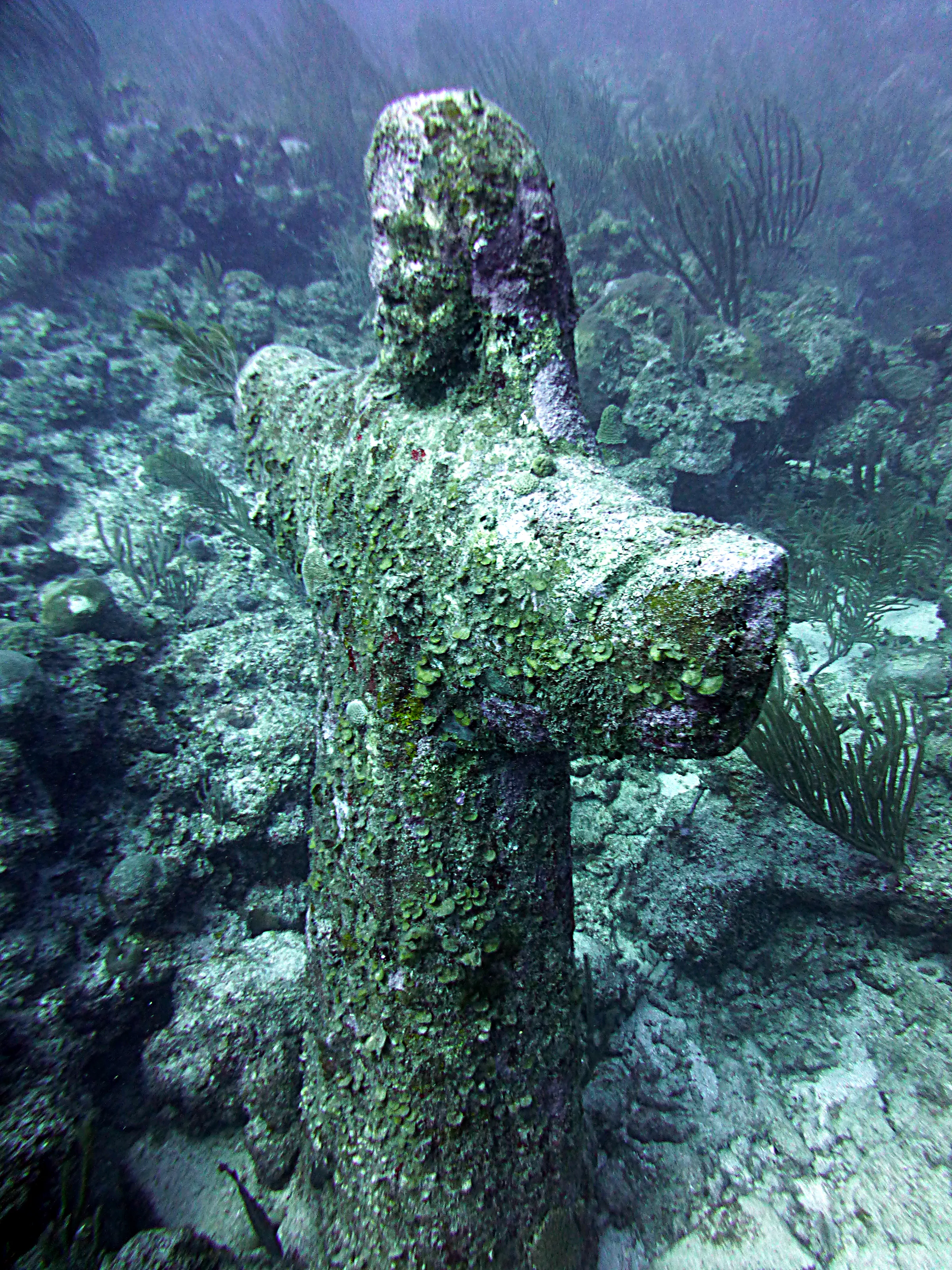 Belize underwater photograph, 2017