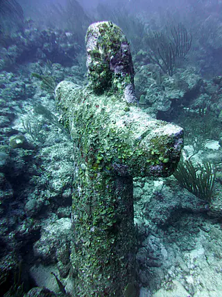 Underwater photograph by Joel Bergsma