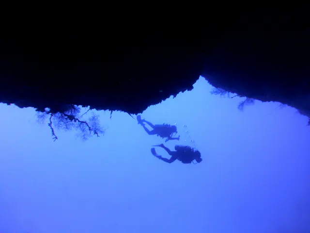 Underwater photograph by Joel Bergsma