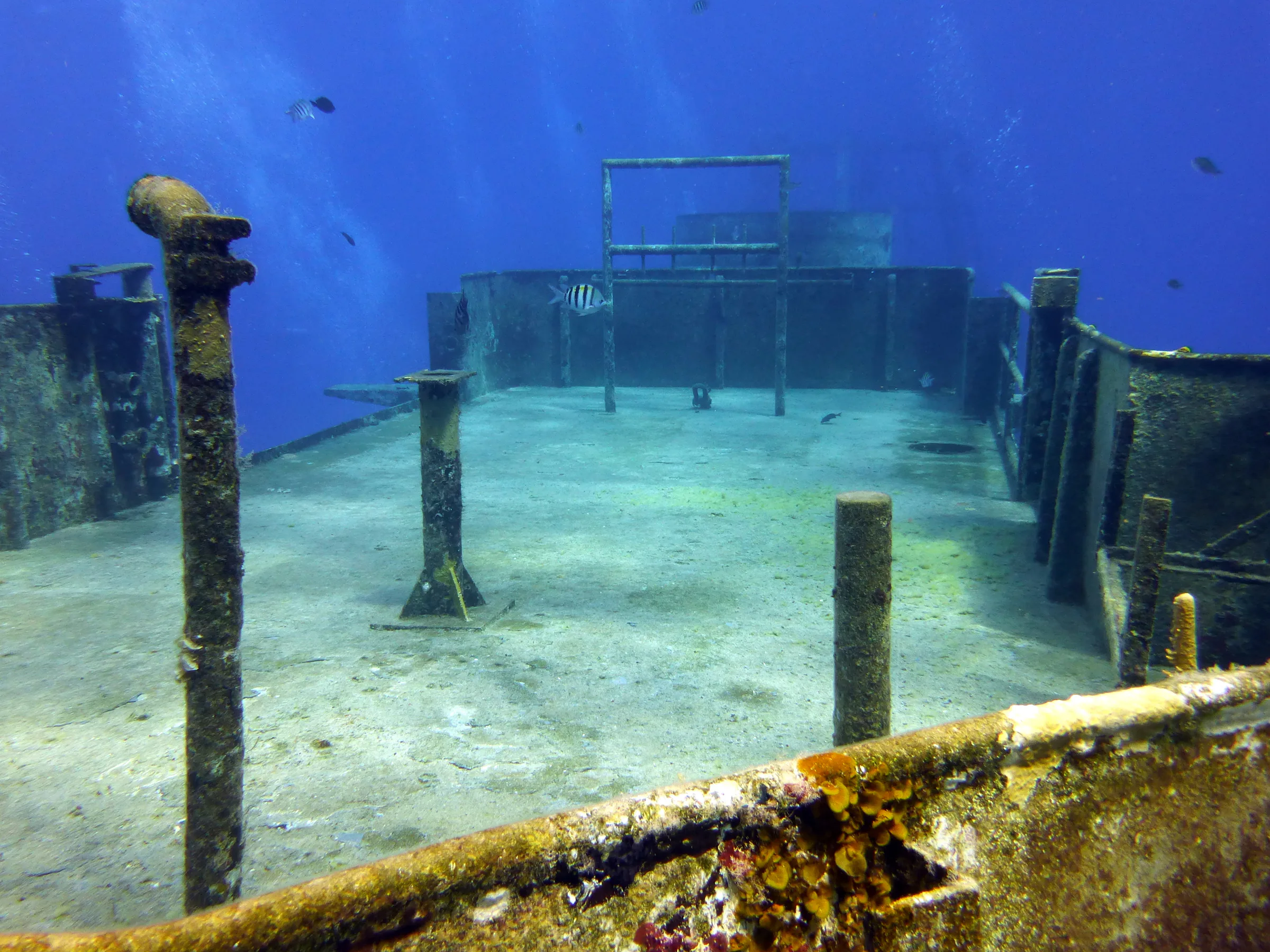 Cayman Islands underwater photograph, 2014