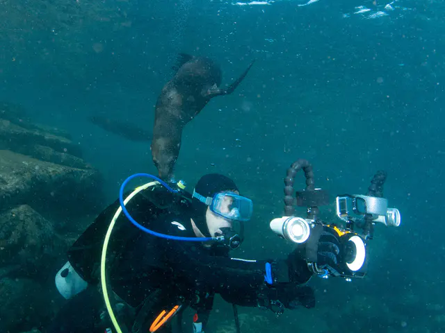 Underwater photograph by Joel Bergsma