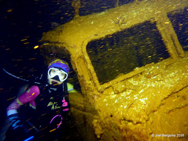 Underwater photograph by Joel Bergsma