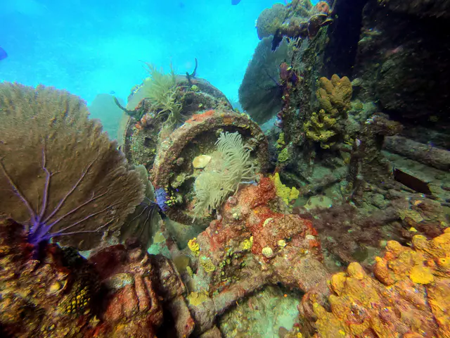 DCIM\100GOPRO\GOPR1131.JPG