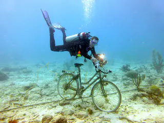 Underwater photograph by Joel Bergsma