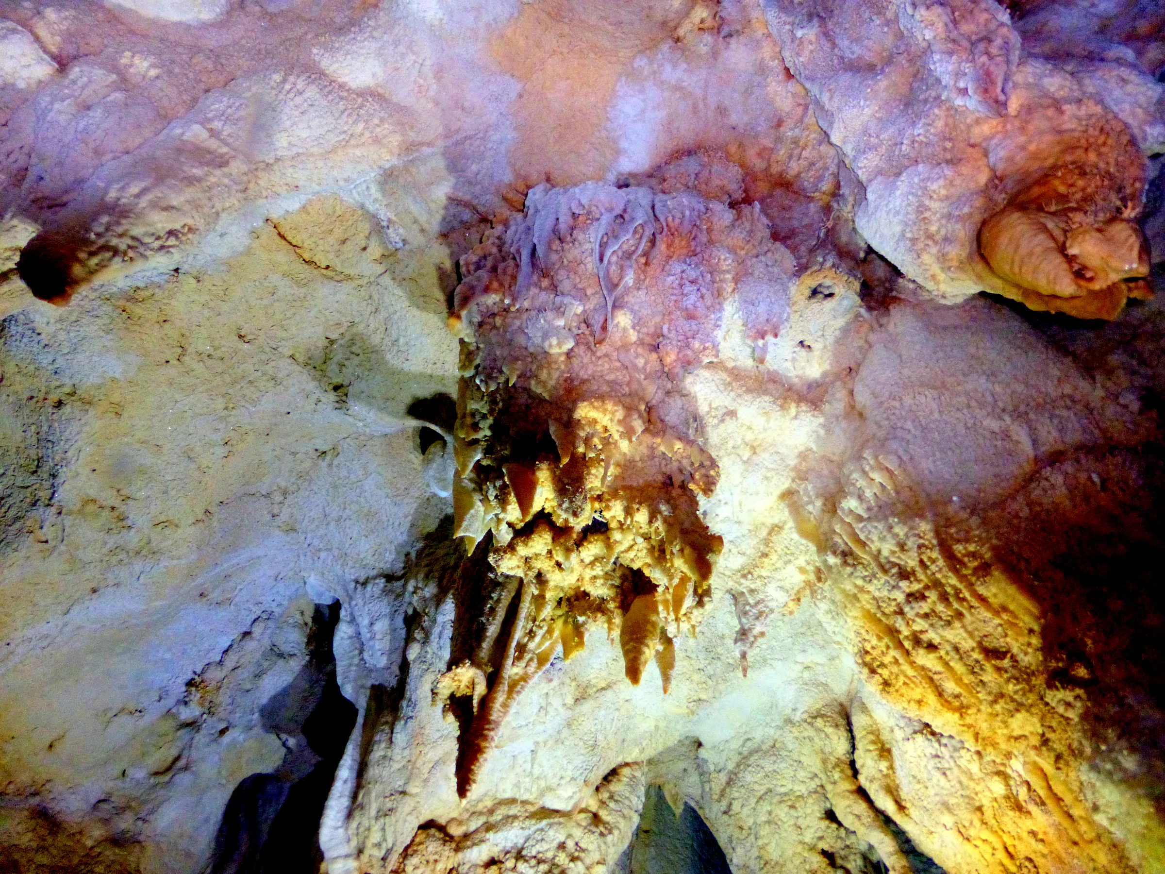 Palau underwater photograph, 2013