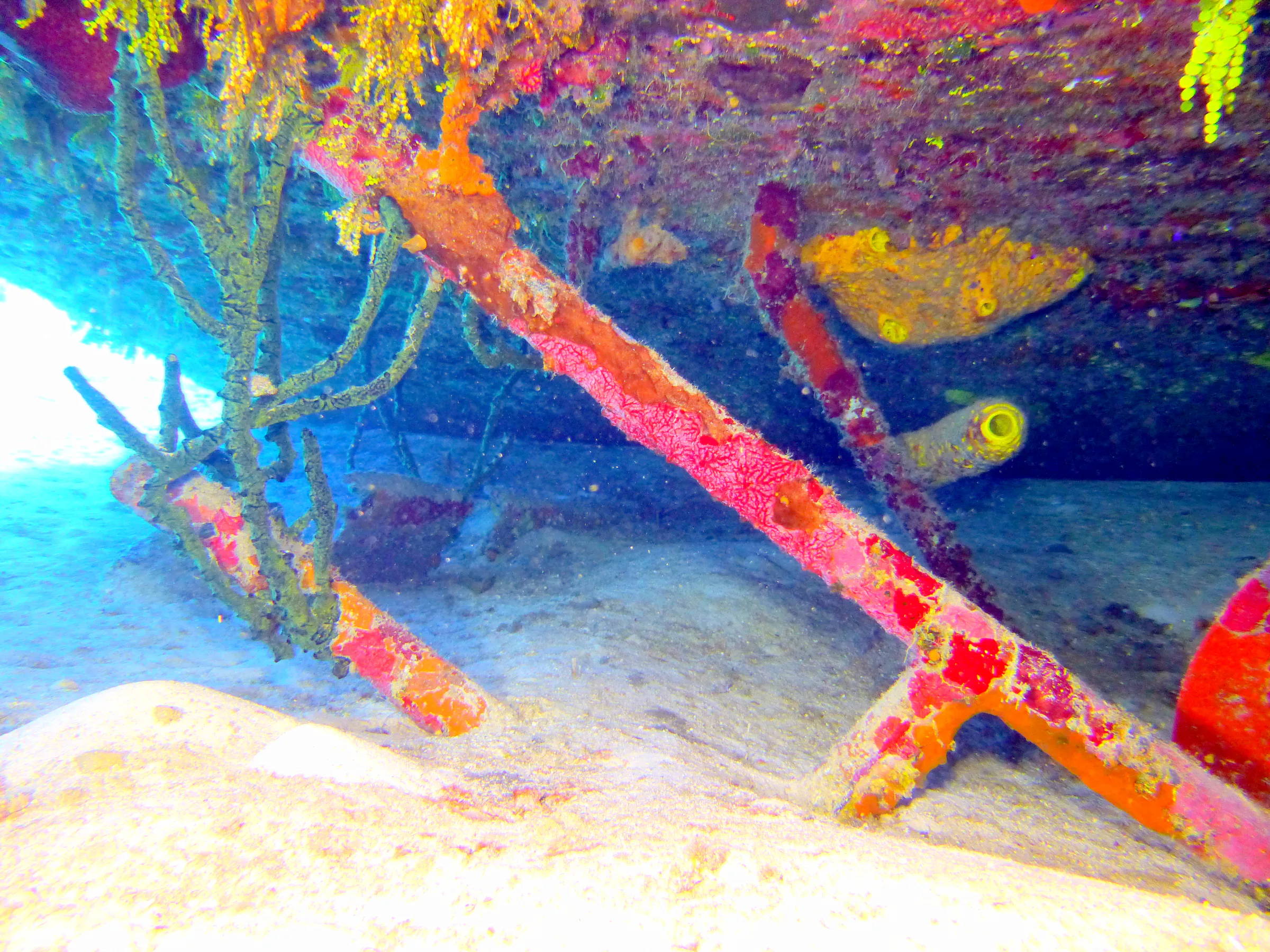 Cayman Islands underwater photograph, 2014