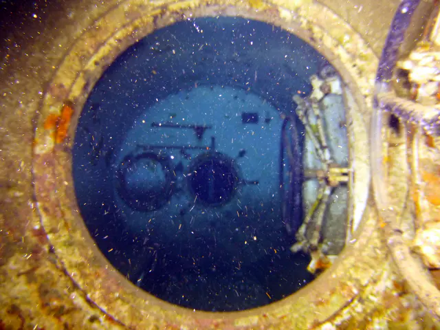 Underwater photograph by Joel Bergsma