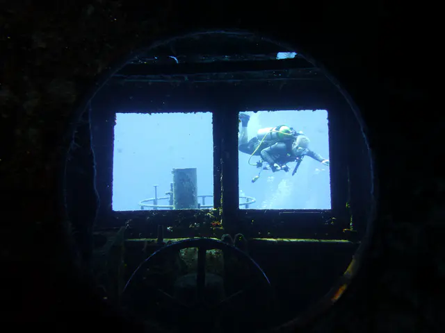 Underwater photograph by Joel Bergsma