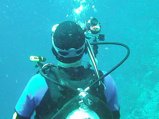 A remora repeatedly attempts to attach itself to different places on my Dive Buddy Bill's head.   Bill is unaware.