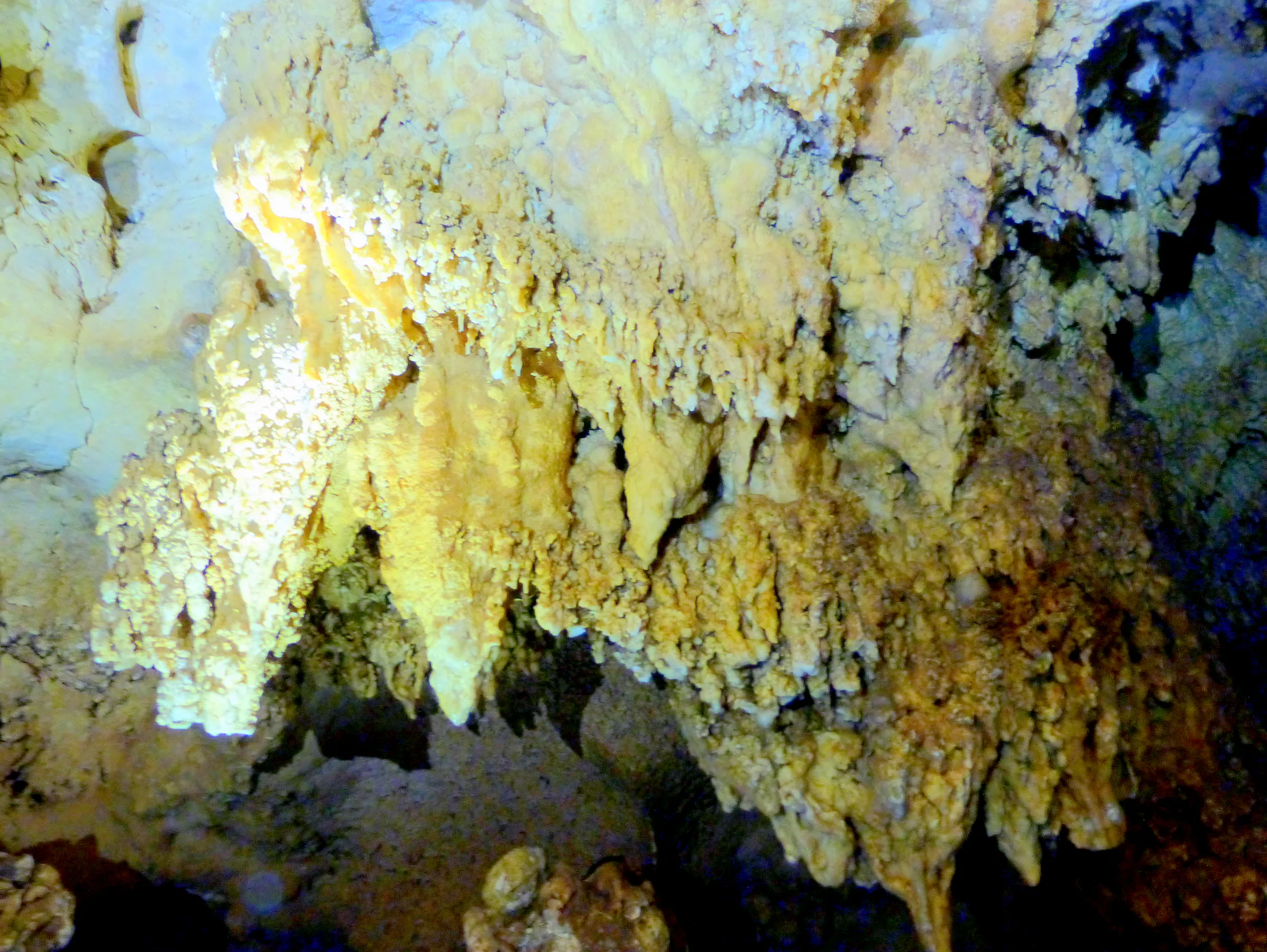 Palau underwater photograph, 2013