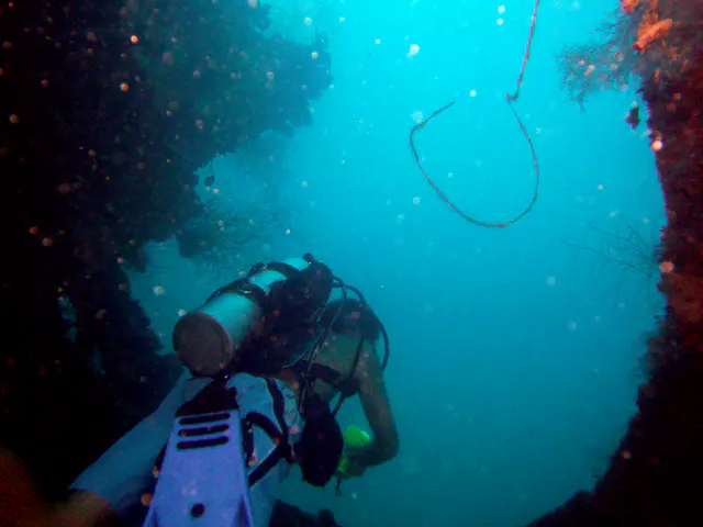 Exiting a cargo hold.