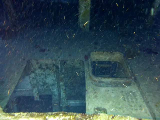 Underwater photograph by Joel Bergsma