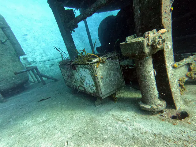 DCIM\100GOPRO\GOPR0983.JPG