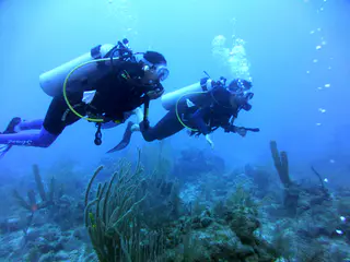 Underwater photograph by Joel Bergsma