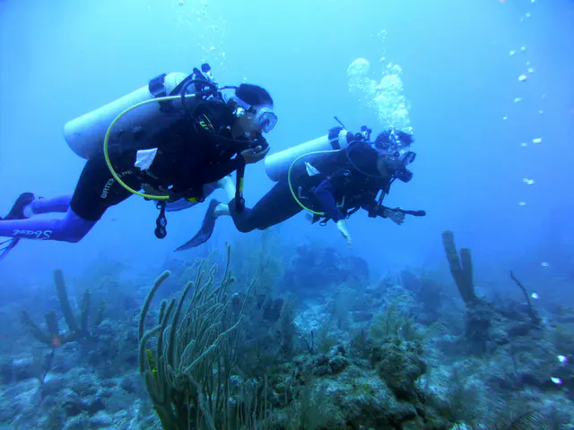 Underwater photograph by Joel Bergsma