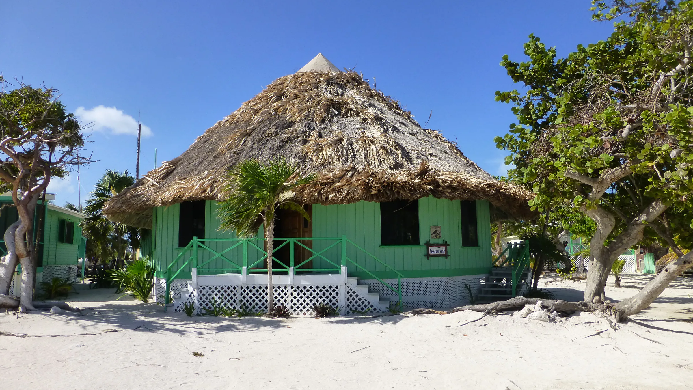 Belize underwater photograph, 2017