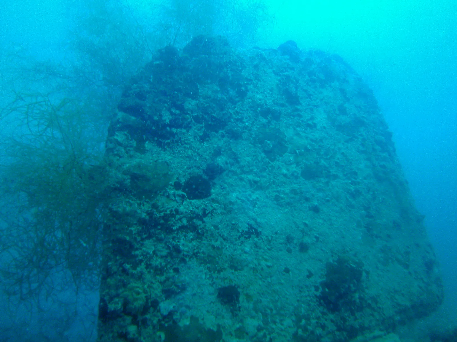 The LST's very large rudder lies upside down on the ocean floor. The LST was bombed, split in two, and sunk upside down.