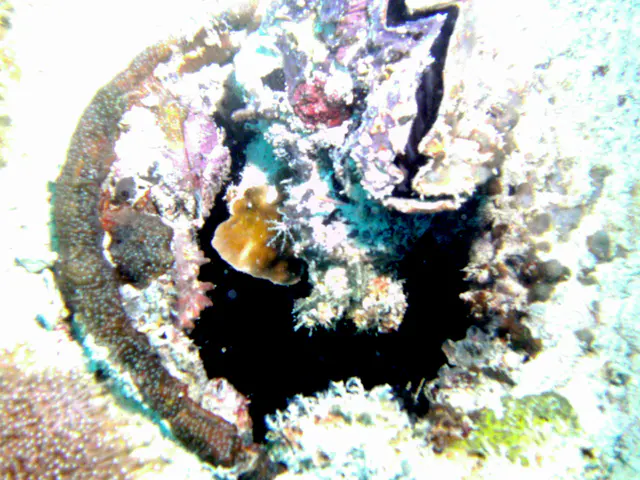 Porthole