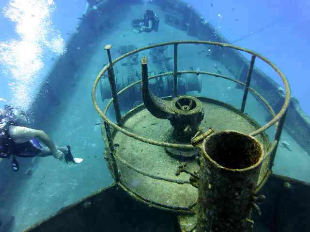 Underwater photograph by Joel Bergsma