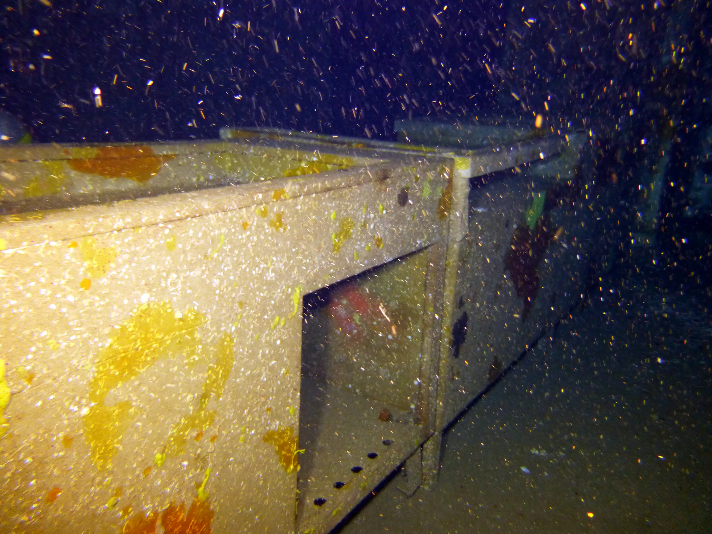 Cayman Islands underwater photograph, 2014