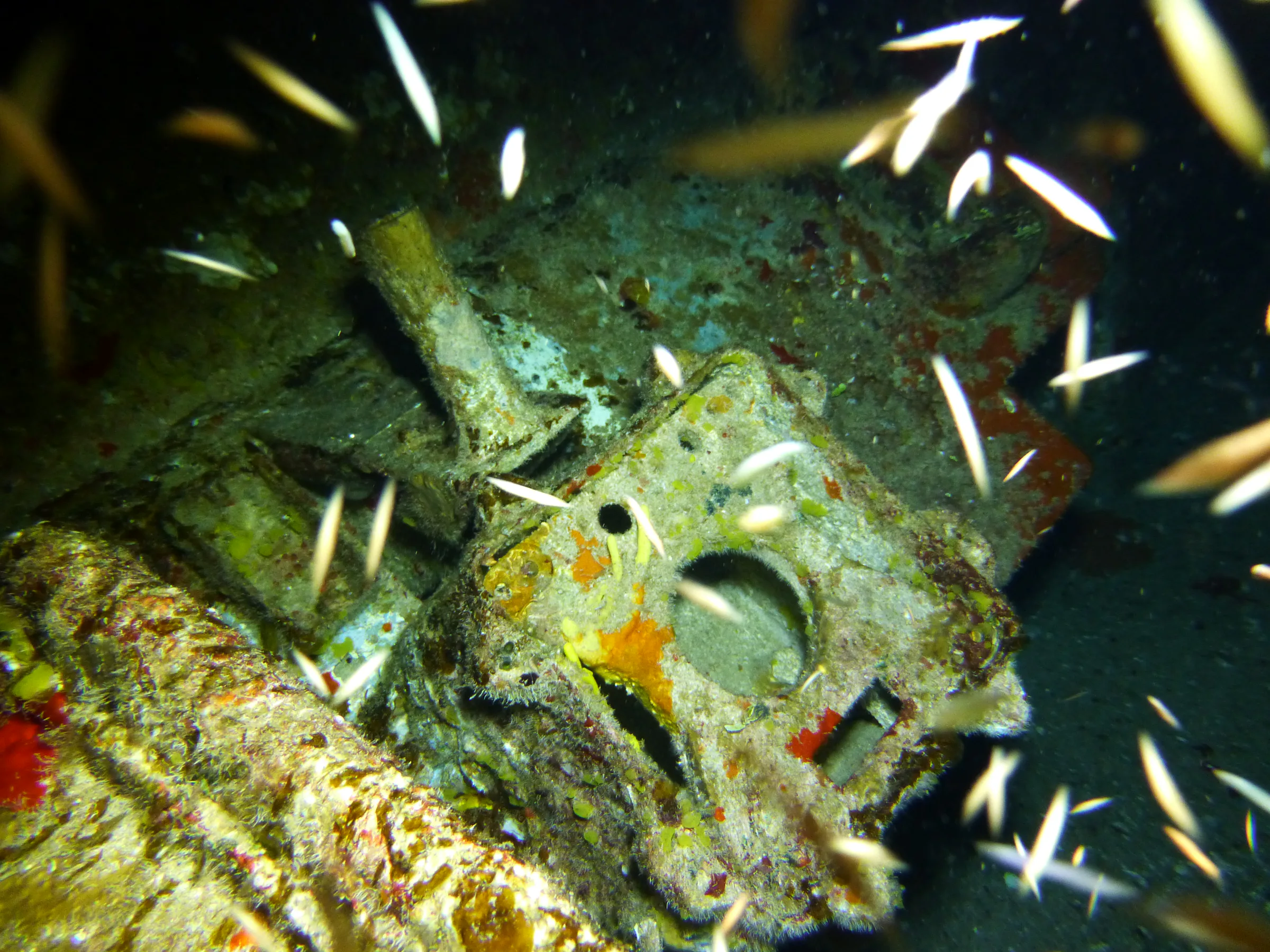 Cayman Islands underwater photograph, 2014