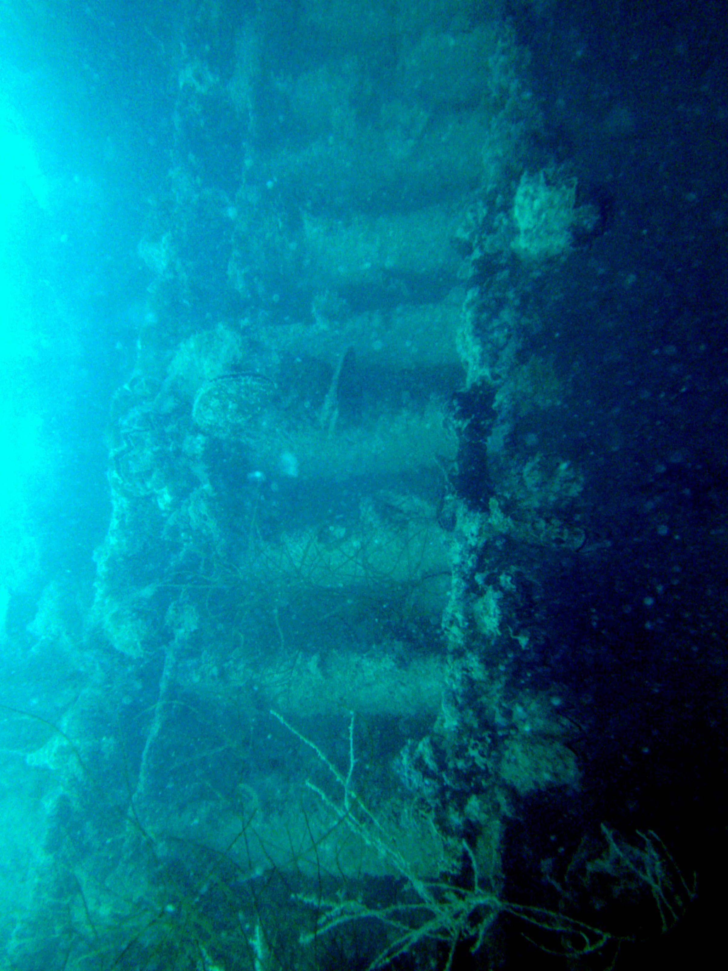 Ladder aboard the WWII Wreck Nagisan Maru.