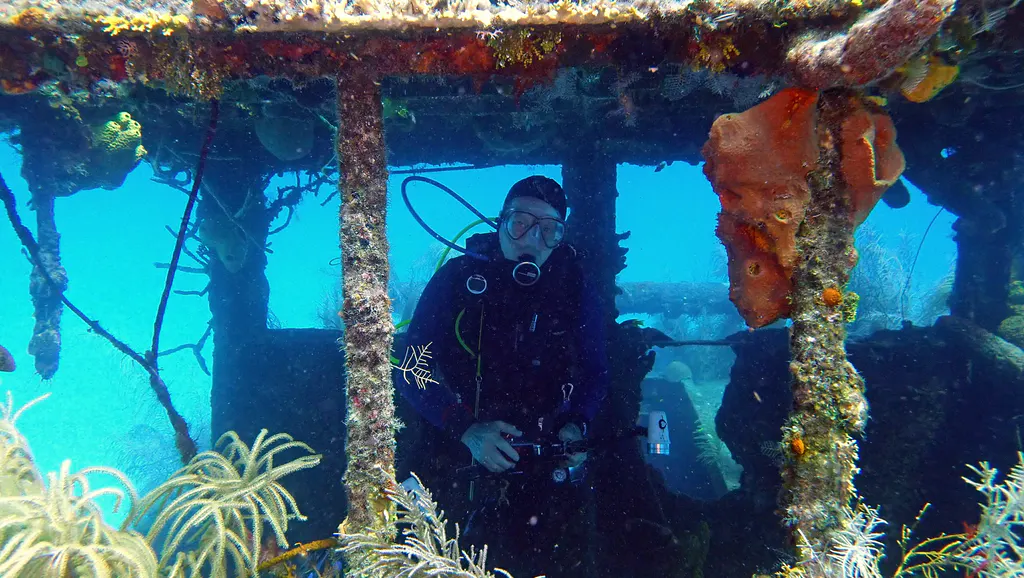 Underwater photograph by Joel Bergsma